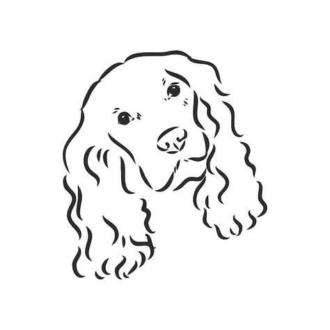 Graphics Black And White, Dog Caricature, Dog Line Art, Spaniel Art, Working Cocker, American Cocker Spaniel, Dog Line, White Drawing, Animal Pics