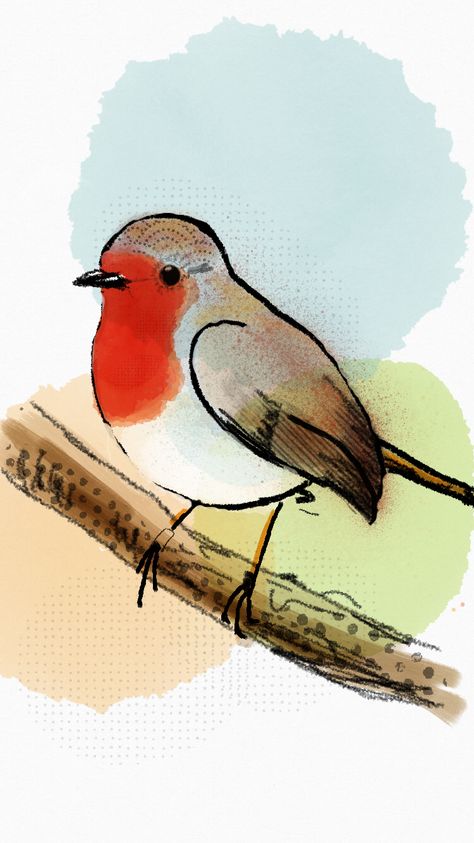 Easy Robin Painting, Easy Robin Drawing, Red Robin Drawing, How To Draw Robin, Robin Line Drawing, Robin Drawing Simple, Robins Bird, Robin Bird Drawing, Robin Bird Illustration