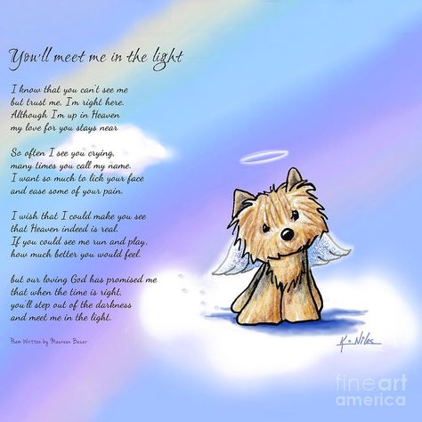 Dog In Heaven, In Heaven Quotes, Dog Heaven Quotes, Miss My Dog, Dog Poems, Heaven Quotes, Dog Heaven, Pet Remembrance, Yorkie Dogs