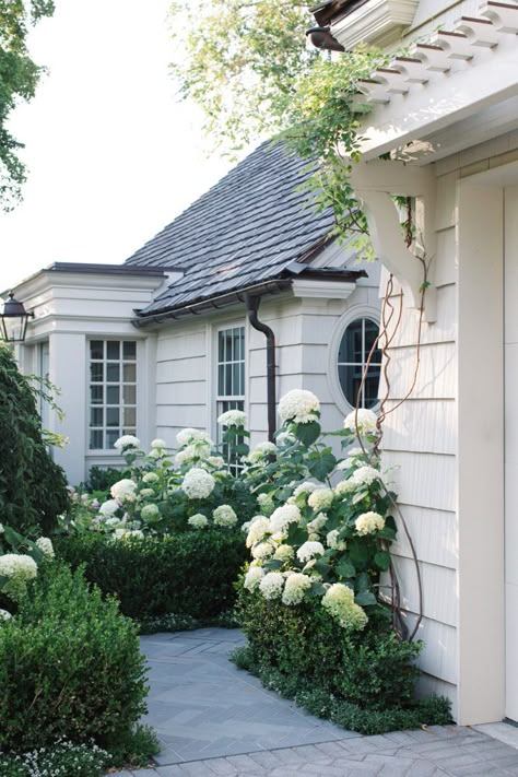 “It’s not about finding a home so much as finding yourself.” – Jason Behr #home #floral #landscaping #hydrangeas #Seaside Cottage Garden Hydrangea, Landscaping Hydrangeas, Minimalistic Plants, Floral Landscaping, White Picket Fence Ideas, Front Yard Design Ideas, Jason Behr, Picket Fence Ideas, Garden Home Ideas