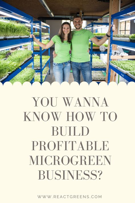 Micro Green Business, Microgreens Business Plan, Microgreens Packaging Ideas, Microgreens Business, Microgreen Business, Hydro Plants, Floyd Leg, Microgreens Garden, Microgreens Growing