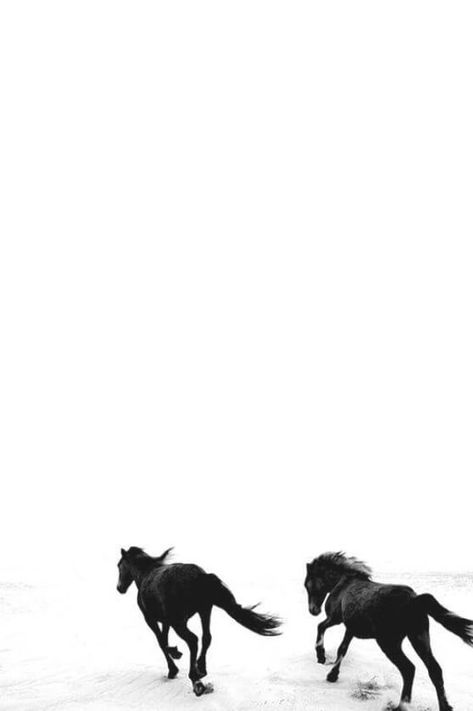 Black & White Aesthetic | Horses | Running | Beach Black And White Horse Aesthetic, Aesthetic Horse Wallpaper, Aesthetic Horse, Wallpaper Animals, Wallpaper Backgrounds Aesthetic, Equestrian Aesthetic, Black And White Art Drawing, Horse Wallpaper, Backgrounds Aesthetic