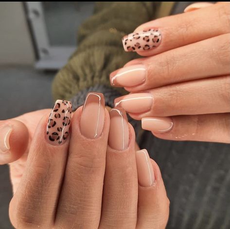 Tan Cheetah Nails, Acrylic Nail Designs Cheetah Print, Cheetah Print Acrylics, Cheetah Print Fall Nails, Chetta Print Nail, Safari Nail Ideas, Cheetah Accent Nails, Leopard Almond Nails, Nude Cheetah Nails