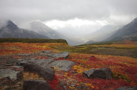 Mountain Tundra, Mountains, Ranges Volcano Pictures, Lost Soul, Public Domain Images, Mountain Range, Pictures Images, Mother Earth, Landscape Art, Free Photos, Stock Images Free