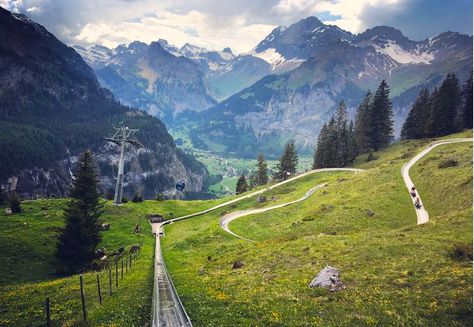 The Oeschinensee Rodelbahn is a natural alpine coaster in Kandersteg, Switzerland. The ride takes you through twists and turns while offering you the view. Switzerland Slide, Alpine Slide, Alpine Coaster, Switzerland Mountains, Europe Honeymoon, Visit Switzerland, European Vacation, Switzerland Travel, Europe Trip