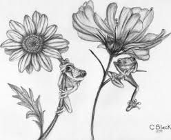 frogs Frog On A Flower Tattoo, Tree Frog Tattoos Black And White, Frog And Sunflower Tattoo, Frog With Flower Drawing, Frog And Flowers Tattoo, Frog On Leaf Drawing, Flower And Frog Tattoo, Frog Tattoo With Flowers, Frog Sunflower Tattoo