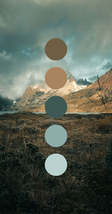 Colors Moodboard, Color Branding, Website Color Palette, Moodboard Inspiration, Hex Color Palette, House Color Palettes, Color Schemes Colour Palettes, Color Drawing, Nature Color Palette