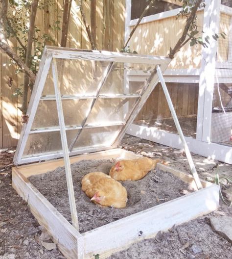 Outdoor Chicken Roost Ideas, Chicken Houses Ideas, Diy Chicken Playground, Chicken Area Ideas, Muttin Bustin, Elevated Chicken Coop, Camper Chicken Coop, Chicken Yard Ideas, Chicken Coop Toys Ideas