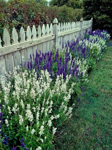 33 Garden Fence Ideas Adorned With Stunning Flowers Garden Design Against Fence, Flowerbeds Along Fence, Lavender Fence Border, Front Fence Garden Ideas, Small Fence Ideas Front Yards, Landscape Ideas Fence Line, Flowerbed Along Fence, Fence Planting Ideas, Flower Beds Along Fence