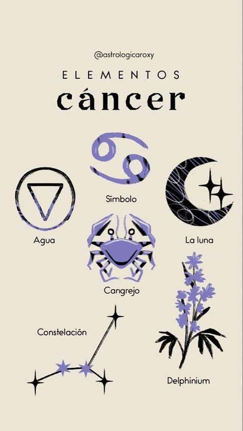 Zodiac Signs Elements, Astrology Tattoo, Zodiac Elements, Zodiac Sign Tattoos, Zodiac Tattoos, Astrology Art, Zodiac Signs Astrology, Zodiac Art, Zodiac Symbols