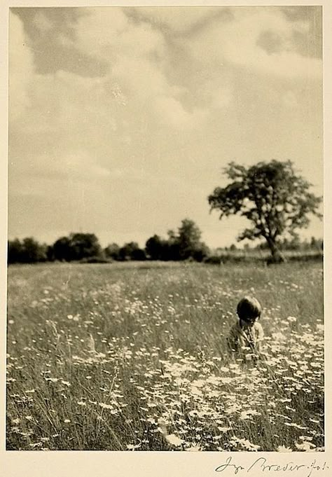 Arte Inspo, Old Photographs, Jolie Photo, White Photo, The Hunger Games, The Hunger, Vintage Photographs, Vintage Photography, Photography Inspo