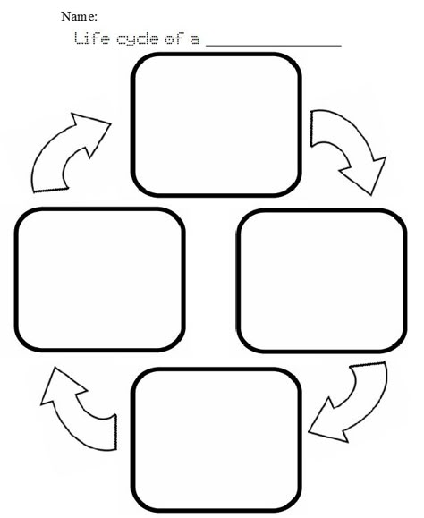 Plant Life Cycle Worksheet | life cycle Blank Life Cycle Template, Plant Cycle Worksheet, Life Cycle Worksheets Free Printable, Life Cycle Worksheet, Plant Life Cycle Worksheet, Human Life Cycle, Insect Life Cycle, Plants Worksheets, Animal Life Cycles