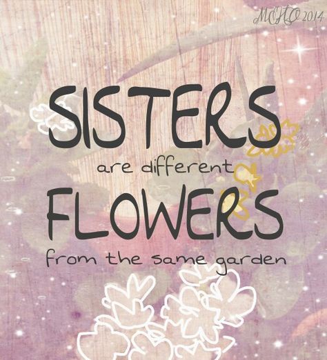 Family Matters Quotes, Sacred Sisterhood, Sisters Are Different Flowers, Sisterhood Quotes, Sister Circle, Women Circle, Matter Quotes, Life Vision, Women's Circle