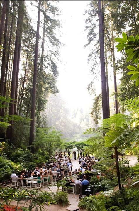 Nestldown, Los Gatos , #wedding #venues Nestledown Los Gatos Weddings, Norcal Wedding, Hunters Moon, Nestldown Wedding, Redwoods Wedding, Woodland Wedding Venues, Redwood Wedding, Elegant Wedding Flowers, Once Upon A Dream