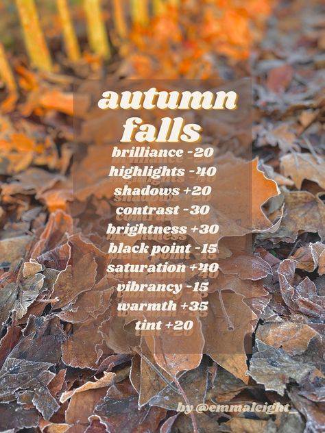 Iphone Filters Photo Editing Fall, Fall Iphone Edit, Fall Edits For Pictures, Iphone Picture Editing Settings Fall, How To Edit Fall Photos On Iphone, Editing Fall Pictures, Iphone Editing Pictures Fall, Fall Filters Iphone, Autumn Aesthetic Filter