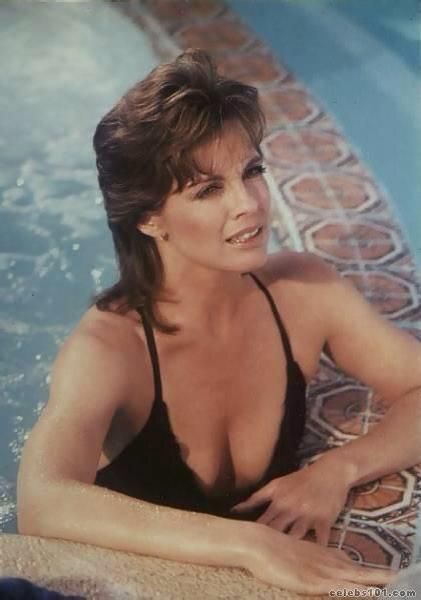 Sue Ellen Dallas Tv Show, Victoria Principal, Linda Gray, Grey Swimsuit, Bo Derek, Grey Pictures, Dramatic Classic, Classic Television, Summer Photos