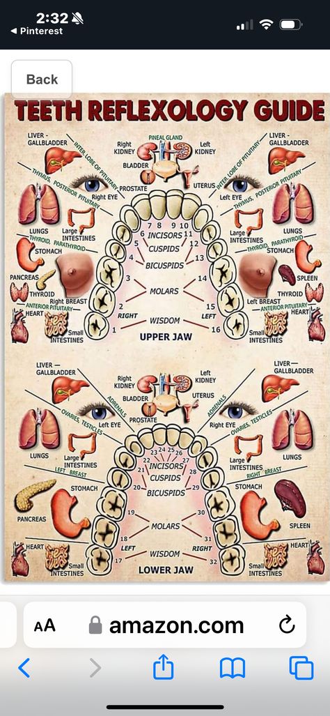 Body Reflexology, Tooth Chart, Reflexology