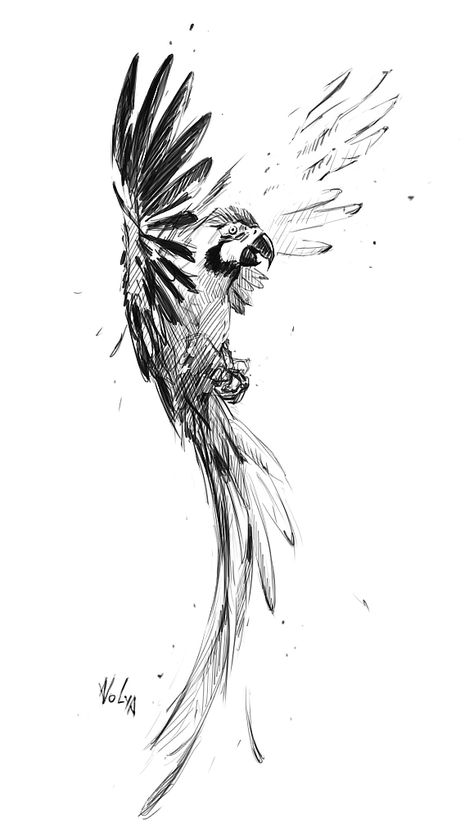 Macaw Sketch, Colombian Tattoo Ideas, Macaw Tattoo, Parrot Sketch, Parrot Tattoo, Parrot Drawing, Animal Tattoo Ideas, Pen Art Work, Bird Sketch