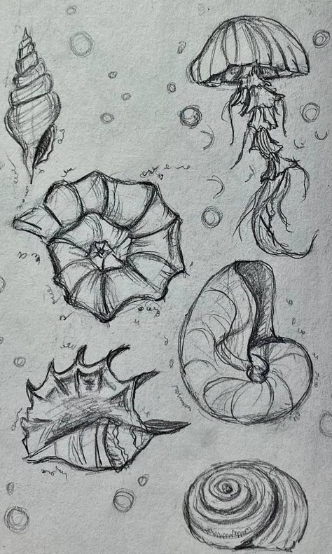 Drawing References Scenery, Ocean Drawing Reference, Sea Theme Drawing, Doodle Art Sea, Ocean Animals Drawing Realistic, Things To Draw Ocean, Ocean Animals Sketch, Ocean Doodles Aesthetic, Sea Sketch Pencil