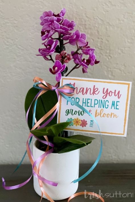 This sincere and colorful notecard pairs perfectly with a list of gift ideas and makes for a lovely Teacher Appreciation Gift Idea. “Thank You for Helping Me Grow and Bloom” free printable notecard. #IdeasForTheHome #Kenarry Free Teacher Appreciation Printables, Teacher Appreciation Gifts Printables, List Of Gift Ideas, Extra Gum, Teacher Appreciation Printables, Appreciation Printable, Free Printable Gifts, Target Gift Cards, Target Gifts