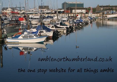 amblenorthumberland.co.uk - the one stop website for all things Amble! Amble Northumberland, Northumberland Coast, Place To Live, Short Break, Day Trip, Great Places, A Business, Art Work, The One