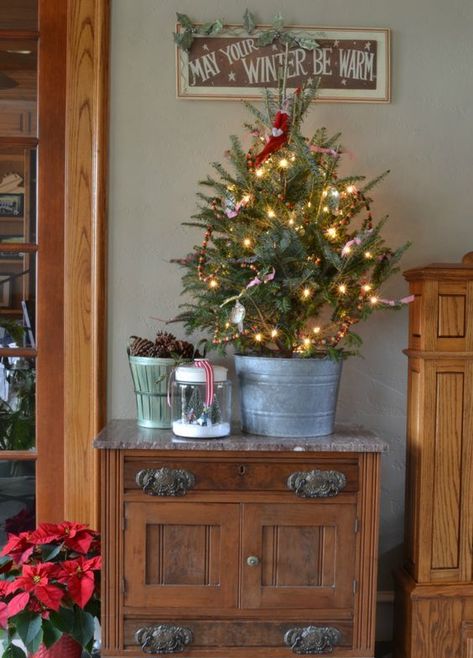 www.shelterness.com small-christmas-tree-decor-ideas Small Space Christmas Tree, Small Christmas Trees Decorated, Decoration Buffet, Tin Bucket, Small Christmas Tree, 12 December, Small Christmas Trees, Mini Christmas Tree, Primitive Christmas