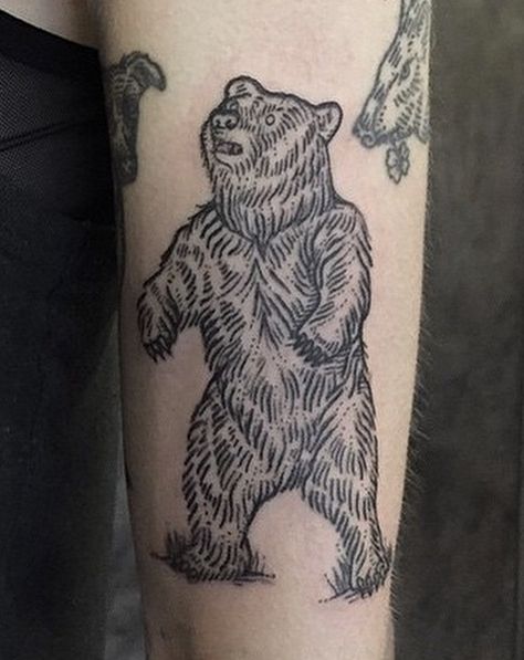 Bear Tattoo Aesthetic, Bear Tattoos Traditional, Russian Bear Tattoo, Woodcut Bear Tattoo, Smokey Bear Tattoo, Brown Bear Tattoo, Woodcut Tattoo Design, American Traditional Bear Tattoo, Freddie Tattoo