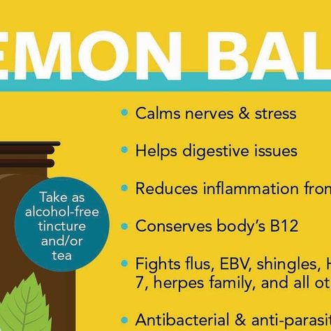 Medical Medium® on Instagram: "Lemon Balm: Calms Nerves & Reduces Inflammation 

Lemon balm, also known as Melissa officinalis, is an essential herb for calming the nerves—in particular, those involved with digestion. Nerves play a role in much of the digestive distress we experience in this day and age. If someone’s stomach or intestines are irritated for no identifiable reason, it’s usually due to sensitive nerves.

Lemon balm has soothing properties that make it a gift from God and Mother Nature to deal with our frazzling world. It has bioactive phytochemicals such as undiscovered alkaloids that calm the nerve receptors at the digestive tract so that the nerves become less sensitized and inflammation reduces. This makes lemon balm a valuable herb for stress assistance.

Lemon balm helps Melissa Officinalis, How To Calm Nerves, The Nerve, Digestive Tract, Inflammation Causes, Medical Medium, Lemon Balm, Reduce Inflammation, Nerve