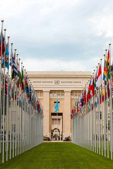 The family’s legal team facilitated the letter. United Nations Building, United Nations Headquarters, United Nation, Geneva Switzerland, United Nations, The Flag, Photo Mugs, Large Picture, Unesco World Heritage