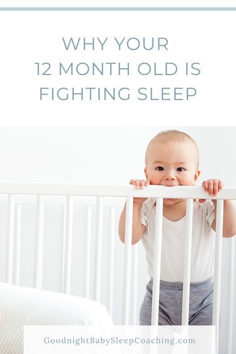 12 Month Old Sleep Schedule, 12 Month Sleep Schedule, Developmental Leaps, 12 Month Sleep Regression, Goodnight Baby, Baby Penelope, Baby 12 Months, Sleep Training Methods, Mom Routine