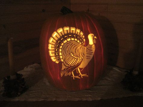 Thanksgiving Turkey Turkey Pumpkin Carving, Thanksgiving Pumpkin Carving, Pumpkin Carving Games, Pumpkin Masters, Pumpkin Games, Craft Pumpkins, Pumpkin Carver, Scary Halloween Pumpkins, Pumpkin Vine