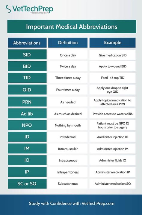 Infographic: Important Medical Abbreviations for Vet Techs Veterinary Receptionist Training, Vet Tech Notes, Medical Abbreviations, Vet Nursing, Veterinarians Medicine, Veterinarian Technician, Vet Tech School, Veterinary Nurse, Veterinary Tech