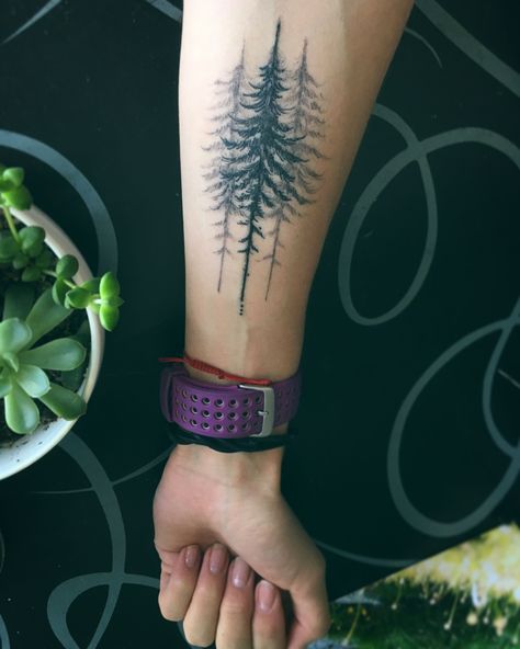 Evergreen Tattoo Washington, Forearm Pine Tree Tattoo, Tamarack Tree Tattoo, 3 Trees Tattoo, Three Trees Tattoo, Pine Forest Tattoo, Pine Tree Tattoos For Women, Pine Trees Tattoo, Spruce Tree Tattoo