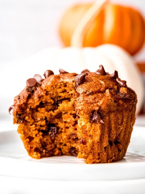 There's no better way to celebrate the arrival of fall than with a batch of freshly baked Pumpkin Protein Muffins. These delightful treats aren't your average muffin sugar bombs; they're a fusion of warm, comforting pumpkin spice goodness and the nutritional power of protein and whole grains, making them the ultimate autumnal indulgence for health-conscious foodies. Chocolate Chunk Muffins, Pumpkin Spice Chocolate, Pumpkin Protein Muffins, Muffins Pumpkin, Pumpkin Muffins Easy, Pumpkin Bread Pudding, Pumpkin Protein, Yogurt Muffins, Pumpkin Muffin Recipes