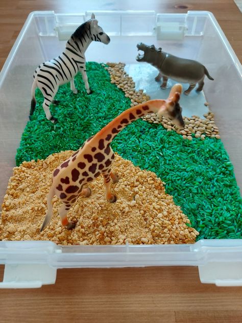 Safari Animals Sensory Bin, Zoo Messy Play Ideas, Safari Sensory Play, Safari Messy Play, Wild Animals Sensory Activities, Jungle Messy Play, Safari Tuff Tray Ideas, Jungle Sensory Play, Jungle Sensory Bin