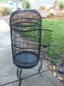 Wrought iron bird cage we used for wedding gifts....I have one of these....THAT'S a very good idea~ Bird Cage Decor Outdoor, Parrot Ideas, Big Bird Cage, Iron Bird Cage, Cages For Sale, Large Bird Cages, Vintage Ladder, Bird Cage Decor, Vintage Bird Cage