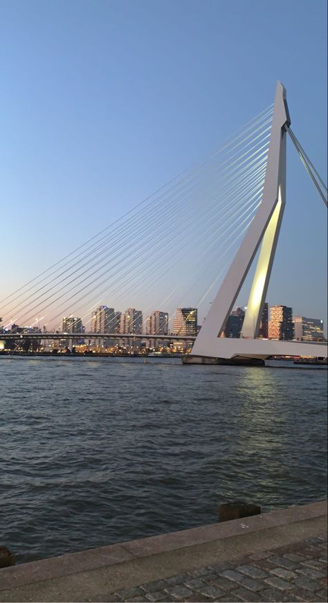 Midyear Reset, Rotterdam Aesthetic, Erasmus University Rotterdam, Erasmus Bridge, Bridge Watercolor, Bridge Structure, Move Abroad, Sky Pictures, Painting Wallpaper