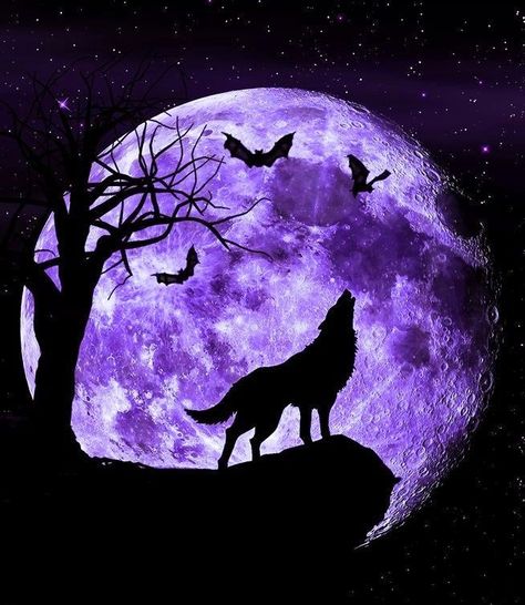 Purple Saturn Aesthetic, Purple Wolf Aesthetic, Purple Wolf Wallpaper, Purple Moon Aesthetic, Wolf Purple, Spirit Wolf, Shadow Wolf, Werewolf Aesthetic, Howling At The Moon