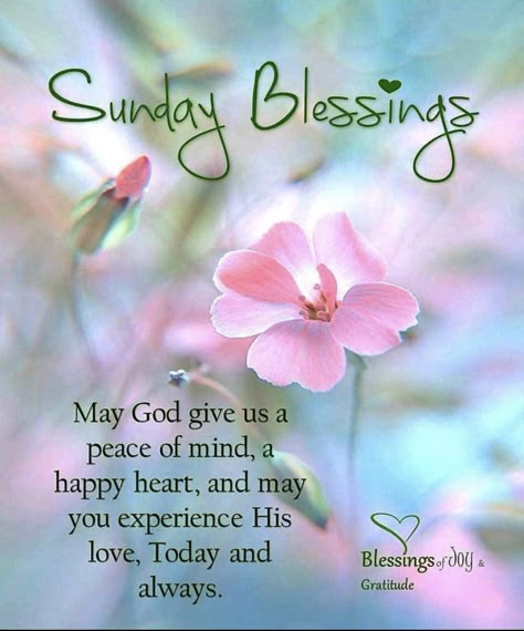 Sunday Morning Prayers, Sunday Blessings Inspiration, Good Morning Pink, Sunday Morning Prayer, Blessed Sunday Morning, Sunday Morning Wishes, Blessed Life Quotes, Blessed Sunday Quotes, Afternoon Greetings