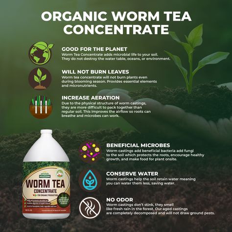 Are you looking for a new liquid fertilizer for your vegetable garden? PetraTools’ Worm Tea Liquid Lawn Solution is a natural worm tea fertilizer made from blackstrap molasses and worm compost tea. Worm tea fertilizer has been proven to improve the soil before planting vegetables and plants. Our worm tea is full of good bacteria, minerals, and vitamins which will create healthy soil so your plants not only grow but thrive. Amazon Best Seller 2 to 3 Days FedEx Shipping Guaranteed Post-Purchase Su Tea Fertilizer, Worm Tea, Worm Castings Tea, Healthy Soil, Worm Castings, Blackstrap Molasses, Compost Tea, Worm Composting, Healthy Carbs