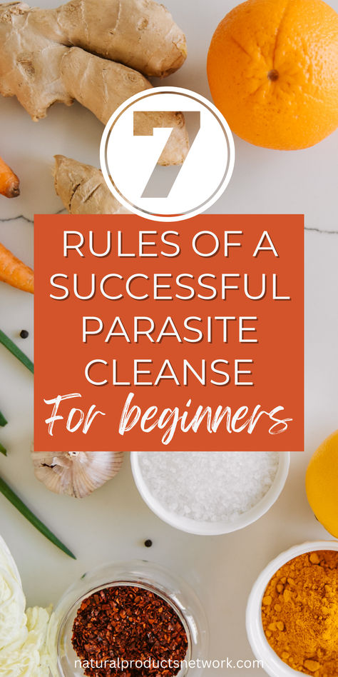 7 Rules to do a Proper Parasite Cleanse For Beginners Parasite Cleanse Soup, How To Do A Cleanse, Best Parasite Cleanse, Parasite Cleanse For Kids, Diy Parasite Cleanse, Alkaline Cleanse, Parasite Cleanse Diet, Digestive Cleanse, Best Cleanse