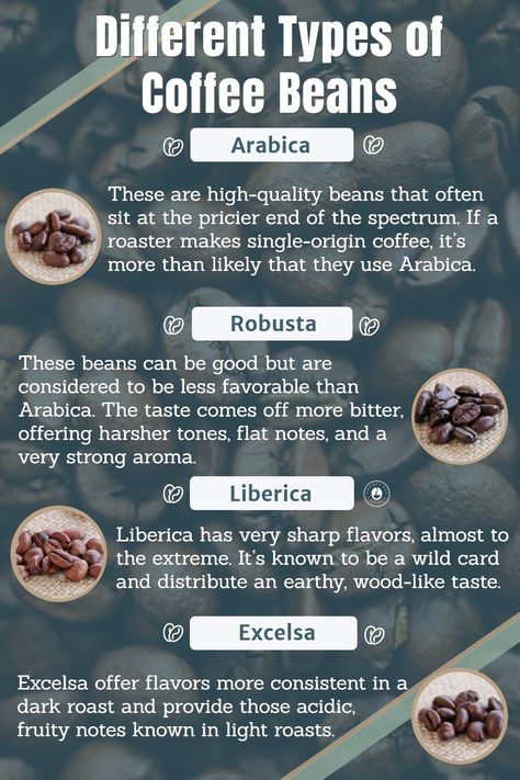 Different Types Of Coffee Beans, Coffee Bean Types, How To Make Different Types Of Coffee, Roasting Coffee Beans At Home, Coffee Education, Coffee Bean Shop, Coffee Chart, Raw Coffee Beans, Benefits Of Coffee