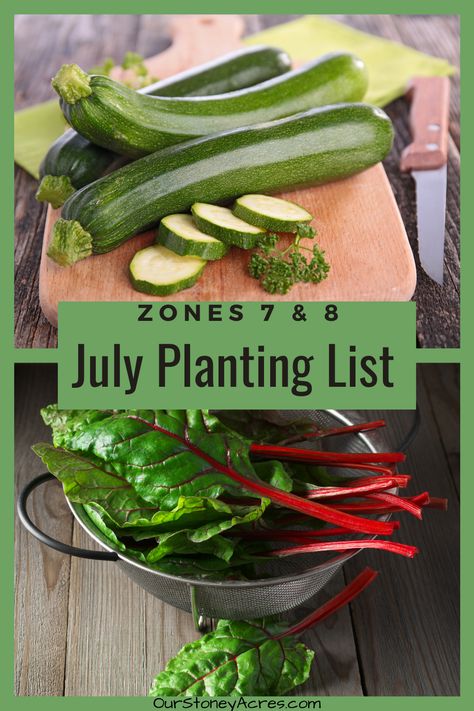 Zone 7 Greenhouse, Zone 7b Fall Planting, Fall Planting Vegetables Zone 7, Zone 7b Planting Schedule, College Garden, City Gardening, Tattoo Plant, Fall Planting, Plant Tips