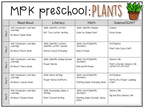 Preschool: Plants - Mrs. Plemons' Kindergarten Daycare Setup, Daycare Lesson Plans, September Preschool, Daycare Curriculum, Preschool Calendar, Body Preschool, Daycare Themes, Preschool Prep, Toddler Curriculum