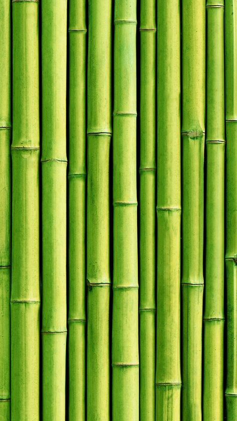 Lt. Green Bamboo Bamboo Landscape, Bamboo Background, Bamboo Wallpaper, Bamboo Texture, Theme Pictures, Green Bamboo, Green Inspiration, Bamboo Wall, Rainbow Aesthetic