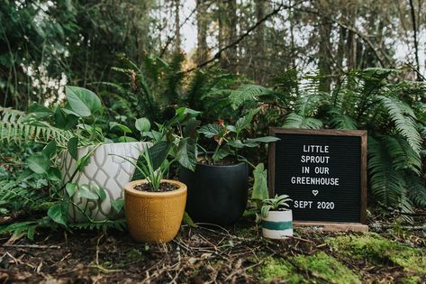 Pregnancy Announcement from Meg Ross Photography in Hillsboro, Oregon. Plants, green, greenhouse, outdoors. Plant Theme Gender Reveal, Garden Baby Announcement, Cottagecore Pregnancy Announcement, Nature Pregnancy Announcement, Backyard Pregnancy Announcement, Gardening Pregnancy Announcement, Garden Pregnancy Announcement, Pregnancy Test Announcement, Plant Pregnancy Announcement