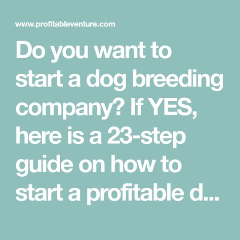 Do you want to start a dog breeding company? If YES, here is a 23-step guide on how to start a profitable dog breeding business with no money or experience Dog Breeding Business, Dog Business, Dog Breeder, Step Guide, Business Planning, Starting A Business, Dog Breeds, How To Plan, Dogs