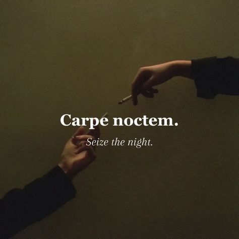 Carpe Noctem Wallpaper, Sacred 28, Latin Quote Tattoos, Grammar Quotes, France Quote, Funny Mean Quotes, Latin Quotes, Clockwork Angel, Unique Words Definitions