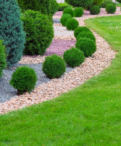 Using rocks instead of mulch: the versatile alternative | Homes & Gardens | Using Rocks Instead Of Mulch, Rocks Instead Of Mulch, Rock Mulch, Alternative Homes, Rock Bed, Mulch Landscaping, Patio And Garden, Plant Health, Mulch