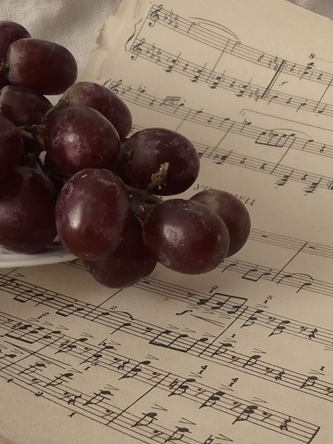 Purple Grape Aesthetic, Grapes Aesthetic Purple, Grape Purple Aesthetic, Grape Vine Aesthetic, Grapevine Aesthetic, Red Grapes Aesthetic, Prudence Aesthetic, Purple Grapes Aesthetic, Plum Pudding Strawberry Shortcake